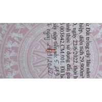 Bán đất ngoài khu vị trí đất cuốc Bắc tân uyên