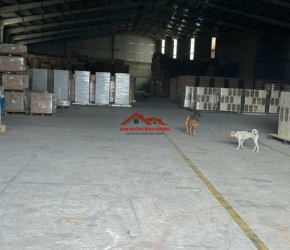 Cho thuê nhà xưởng khánh bình BD