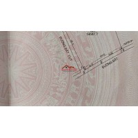 Bán đất SKC full vĩnh hòa phú giáo Bình Dương