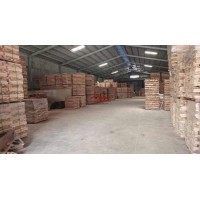 Cho thuê nhà xưởng gần bến cát Bình Dương