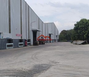 Cho thuê nhà xưởng BD