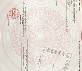 BÁN ĐẤT TRONG KCN BÌNH DƯƠNG CŨ HCM 35