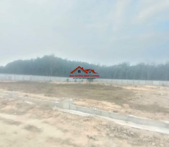 Bán đất huy hoạch SKC bầu bàng bình dương