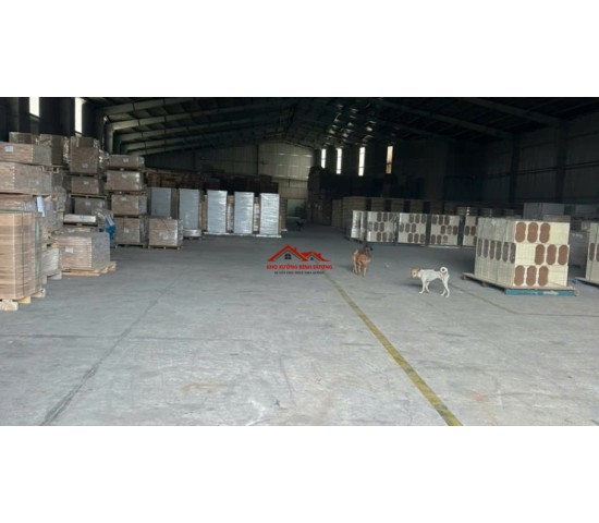 Cho thuê nhà xưởng khánh bình BD