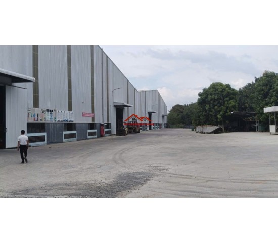 Cho thuê nhà xưởng BD