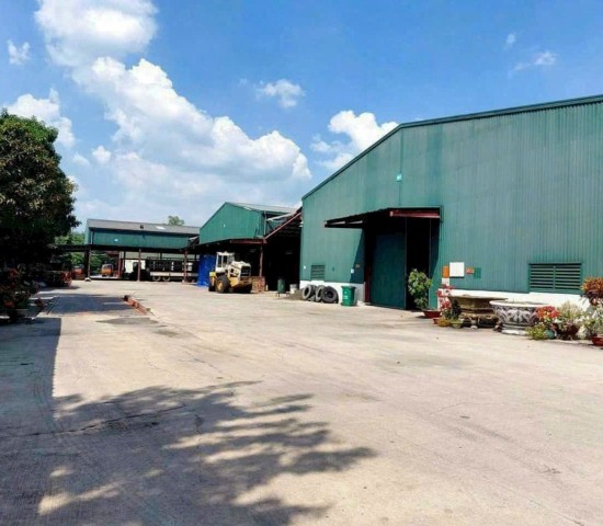 BÁN NHÀ XƯỞNG CHO ĐẦU TƯ  CHO THUÊ LỢI 17