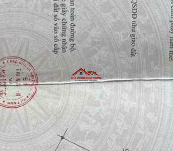 Đất SkC full 30 tân hiệp Tân Uyên