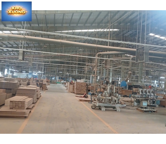 CHO THUÊ XƯỞNG TÂN UYÊN BÌNH DƯƠNG 2026